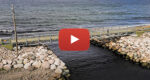 Resource thumbnail